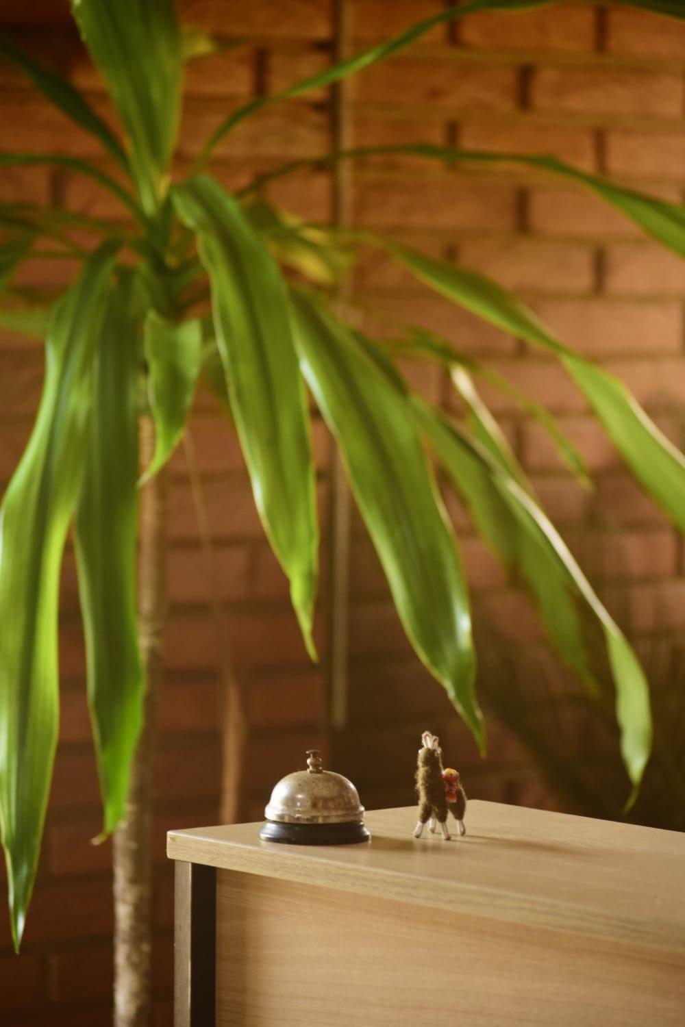 Hostel Tropico De Capricornio - Tenorio ウバトゥバ エクステリア 写真